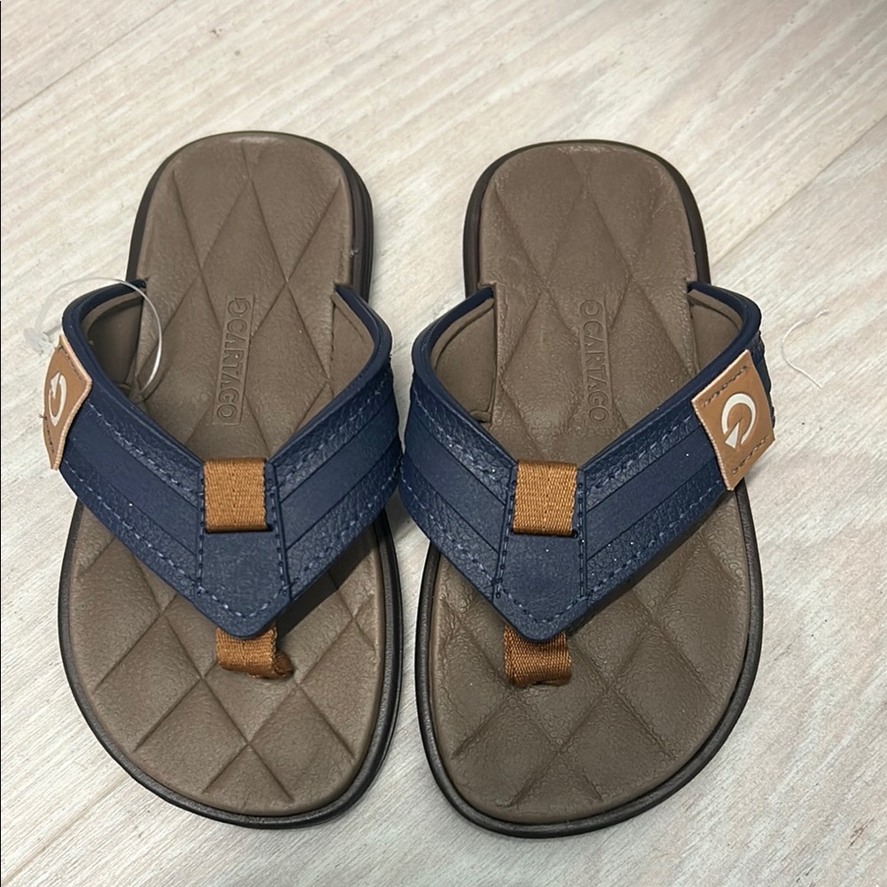 Cartago Brown and Blue Sandals